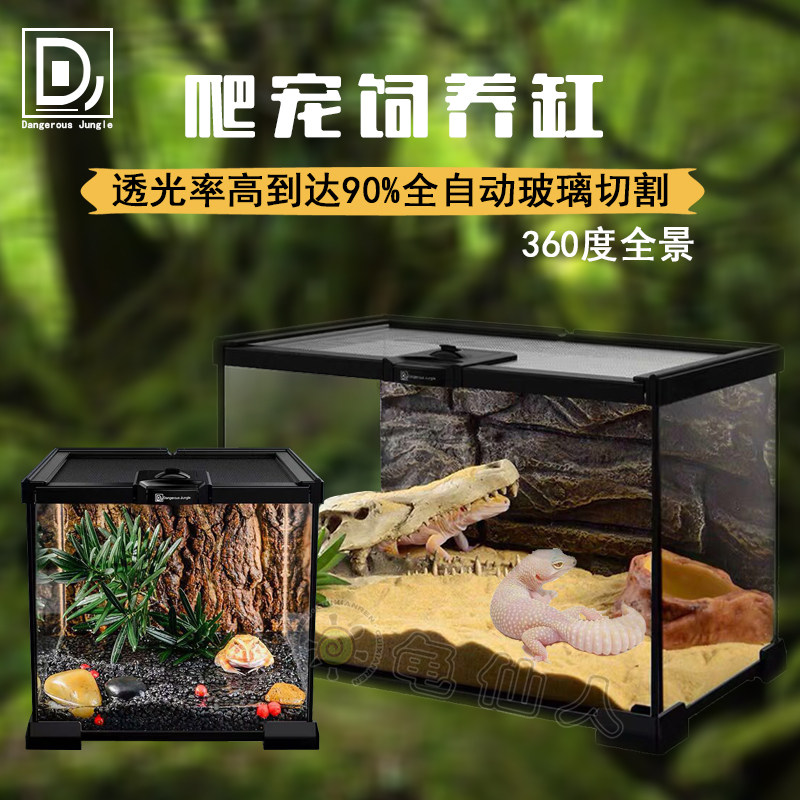 DJ glass jar reptile crawler pet feeding tank horn frog lizard spider turtle snake chameleon beetle tank plant landscaping