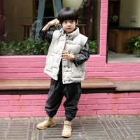 Quần áo trẻ em Hahachen cho trẻ em áo ấm cotton cotton mùa thu và mùa đông dày 2018 phiên bản Hàn Quốc mới cho trẻ em mặc thủy triều áo gile màu be