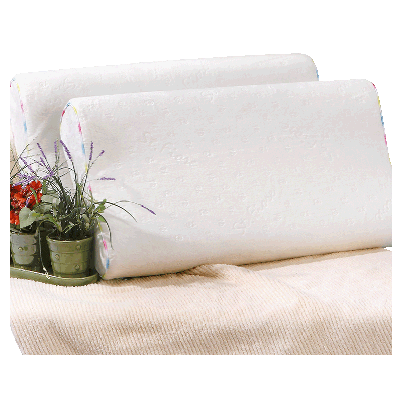 �����ȼҷ�ʥ֮����ͷ843000063