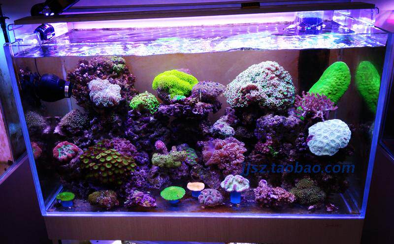 Seawater lamp custom hyperlink