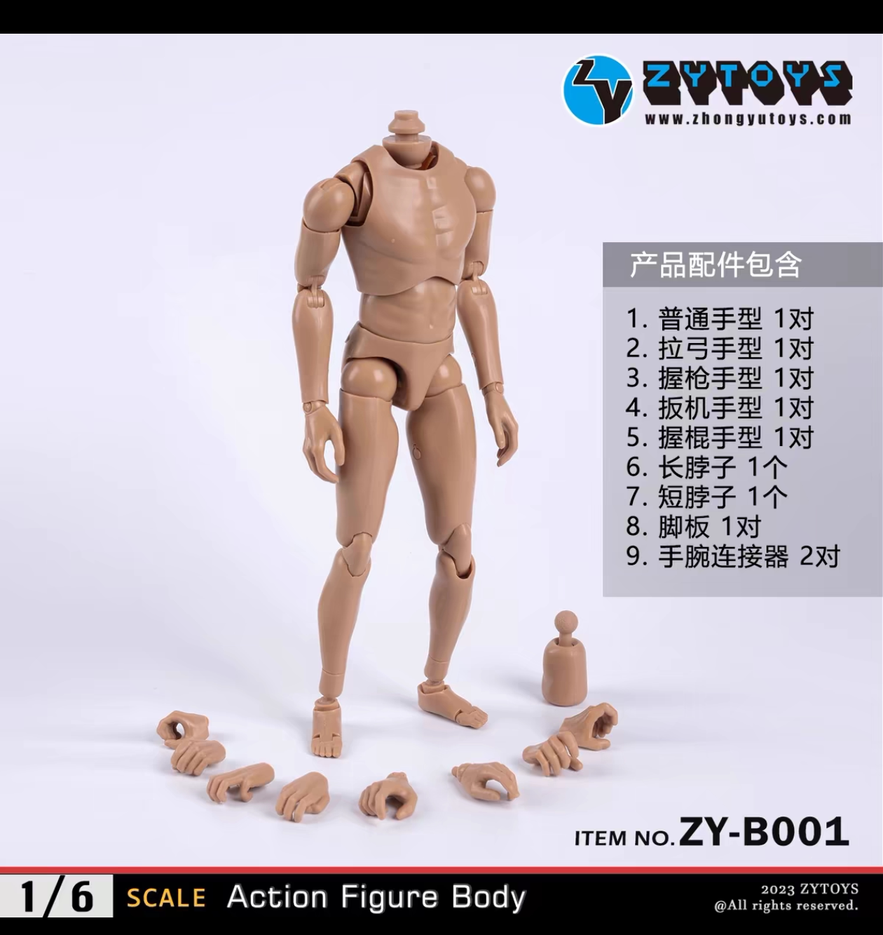 人体模型 成人颅骨模型（彩色），22部分| 1023540 | A291 | 头颅模型| 3B Scientific