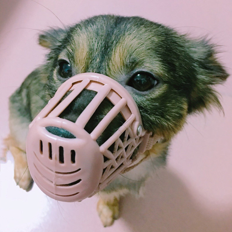 Dog mouth jacket anti-bite to prevent large dog gold hair from eating mouth cover pet dog chewing mouth