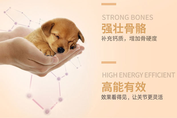 Anh mag khớp Sheng Shending phiên bản vàng mèo chó mạnh xương chăm sóc sức khỏe kho báu thú cưng viên canxi chondroitin sữa cho mèo bầu