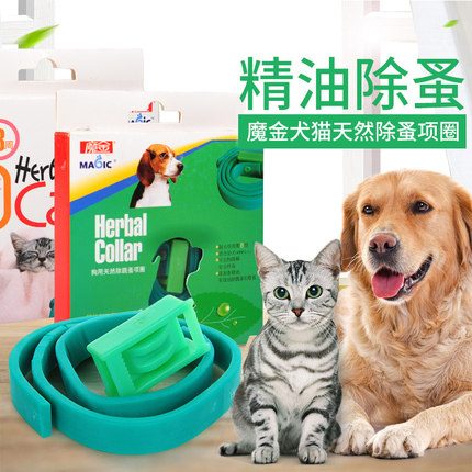Except flea dog dog circle cat nephrophy with large-scale dog gold-treated cat-fed beetle repellent
