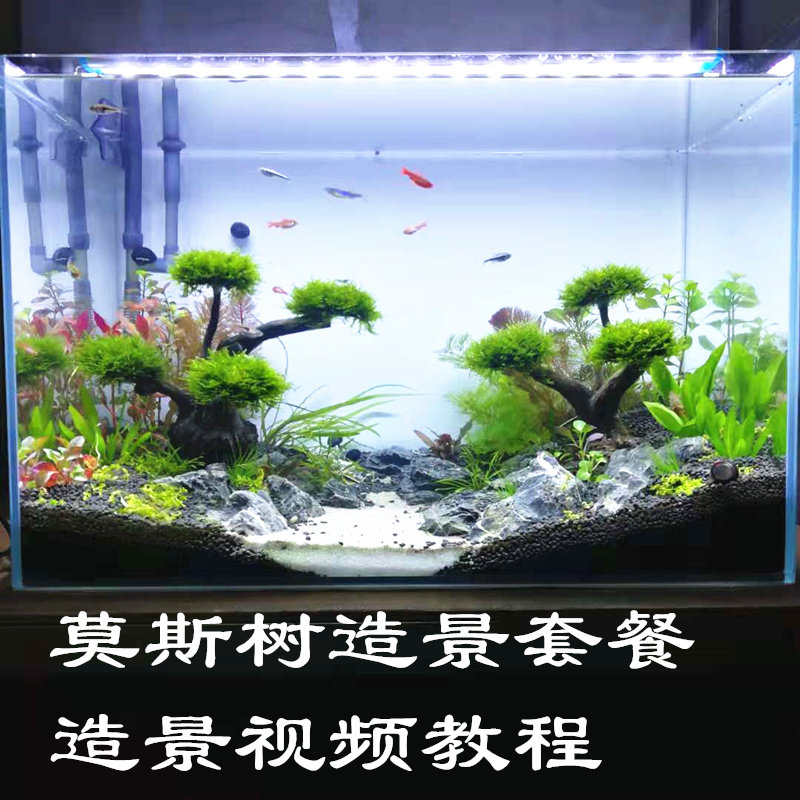 Moss Tree-made View Package Water Grass Wood View Fish Tank Decoration