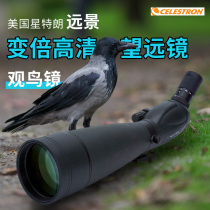 Star Trump vision 20-60x80 high power monocular telescope 100 zoom HD bird watching moon waterproof