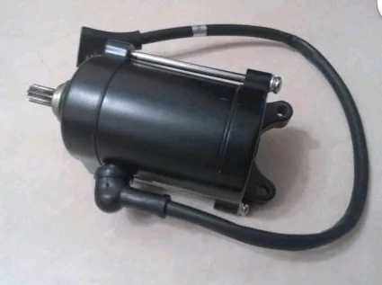 Lung Xin Jinlong Big Bear Cr5 Start Motor Motor LX JL150 - 59 60 200 - 13 motor