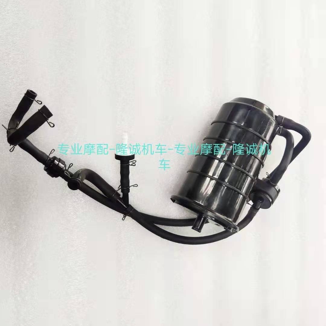 Lungxin LX650 - 2 fuel evaporation control component of the ultra - 650DS original carbon tank catalyst