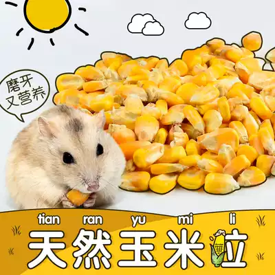 Hamster food Corn kernels supplies snacks Molar rat mouse life hall small hamster food set Golden bear food