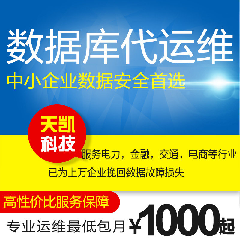 Database O&M Service Monthly patrol remote maintenance Security maintenance package year 7*24 emergency service