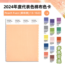 Pantone Pantones representative color of the year 2024 TCX color kabuka 13-1023 Peach Fuzz soft peach