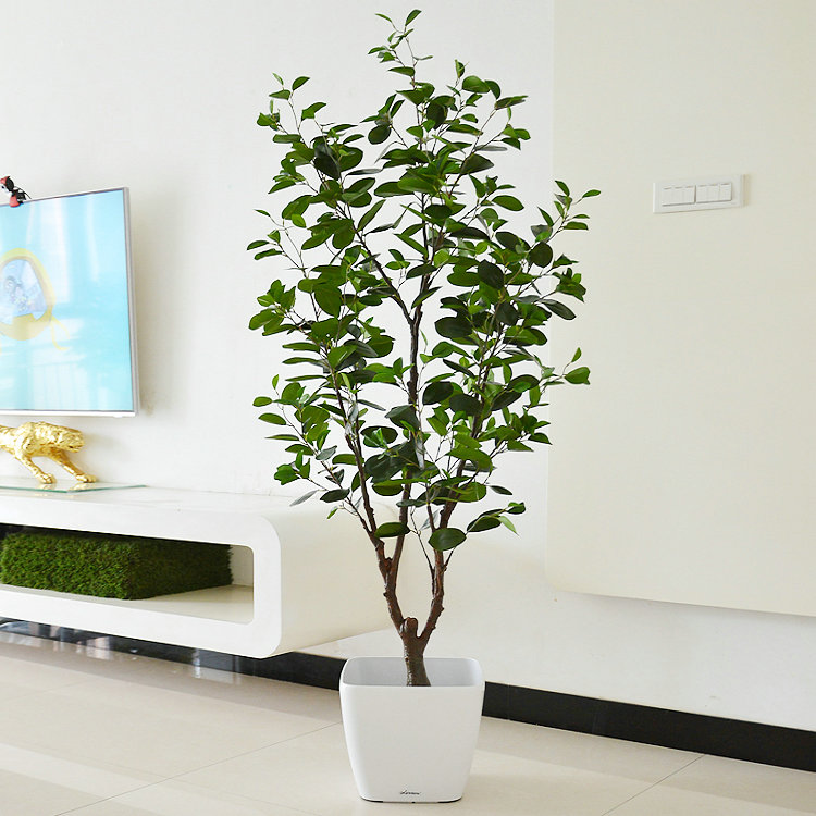 USD 81.09 Simulation of rich money tree potted fake ...