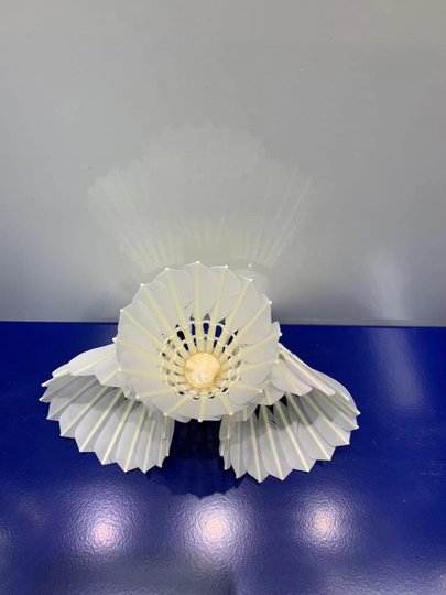 Original Feihuang G777 Badminton, flugfest, flugstabil, Federball, gebogen und gerade, 12 Stück