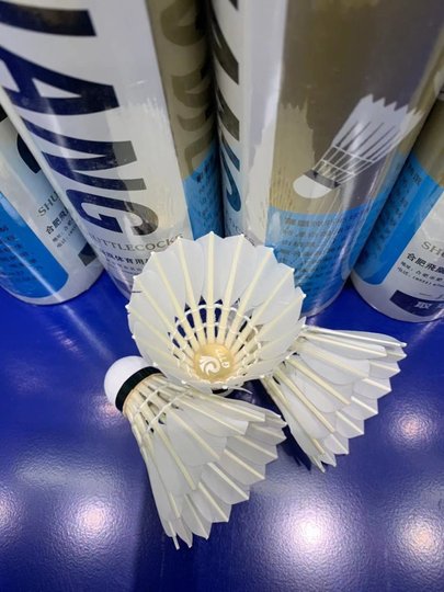 Original Feihuang G777 Badminton, flugfest, flugstabil, Federball, gebogen und gerade, 12 Stück