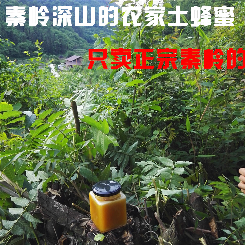 Qinling Soil Honey Farmhouse-produced Hundred Flowers Honey Liquid Soil Honey 500g Qinling Straight Hair