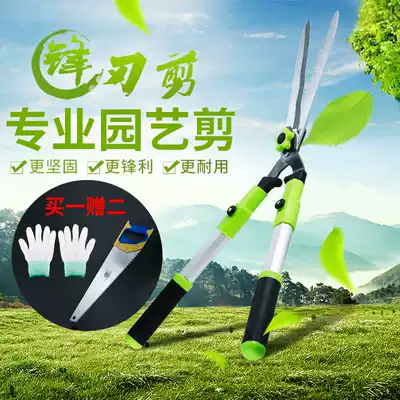 Pruning branch flower scissors gardening scissors pruning shears flower lawn scissors garden tools cutting grass scissors hedge scissors