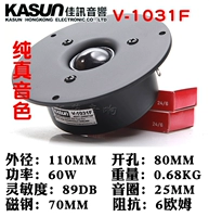 V-1031F
