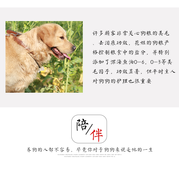 Thức ăn cho chó lớn 10kg thức ăn cho chó trưởng thành Labrador hạt lông vàng Satsuma Husked chăn thả thức ăn phổ biến cho chó - Chó Staples hạt chó