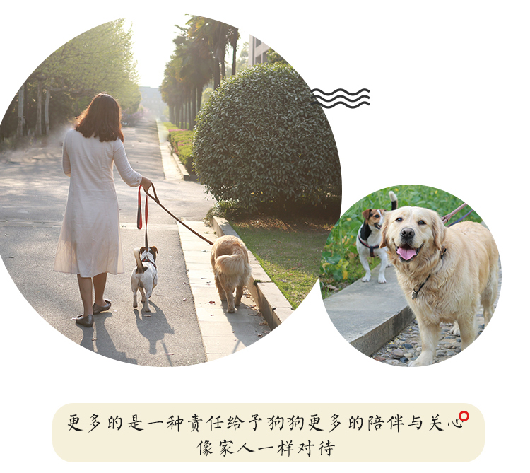 Thức ăn cho chó lớn 10kg thức ăn cho chó trưởng thành Labrador hạt lông vàng Satsuma Husked chăn thả thức ăn phổ biến cho chó - Chó Staples hạt chó