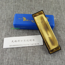 Swan 10 holes blues harmonica ten holes blues harmonica C tone bronze large size plastic box
