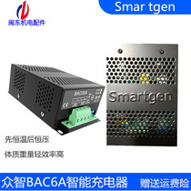 Diesel generator set parts battery Smart Charger Smart Gen public wisdom BAC06A12V24V promotion