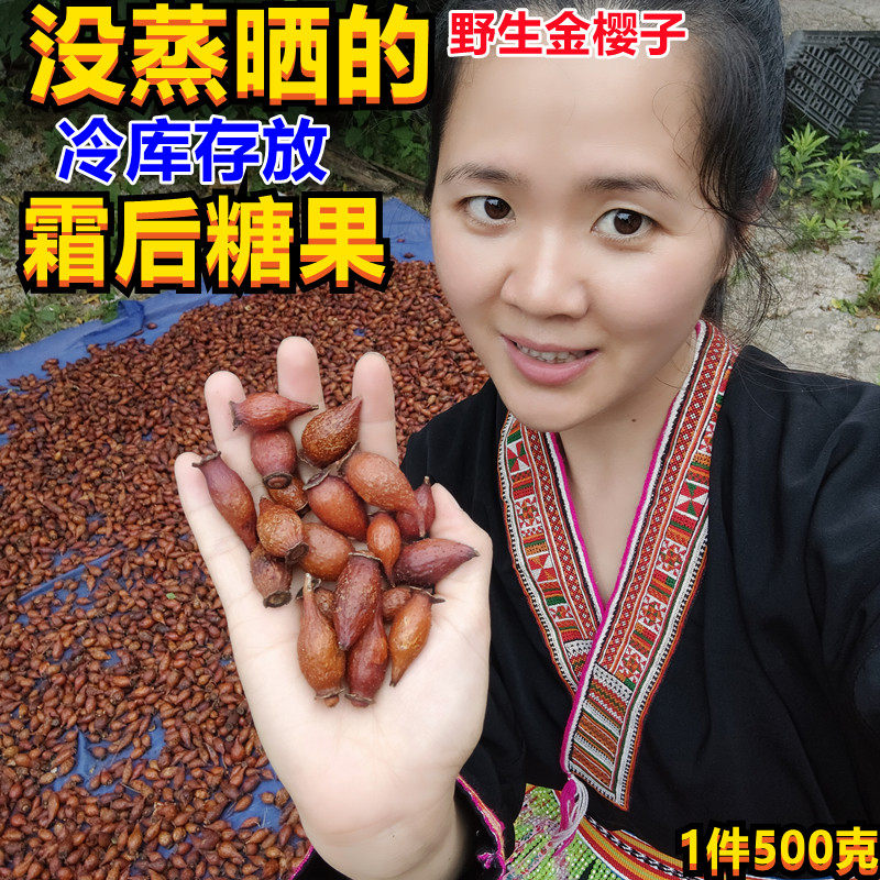 Clark red gold cherry dry fresh wild piercing pear gold dry gold - liquor special Chinese medicine material 500 grams