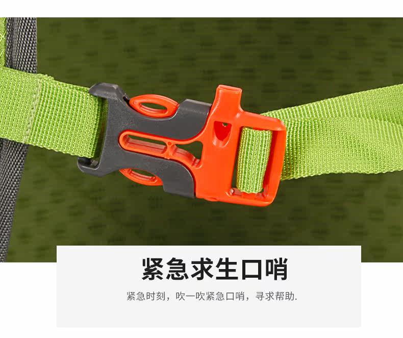 10666 части Bottom_09.jpg