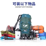 Вместительный и большой рюкзак подходит для пеших прогулок, 12 года