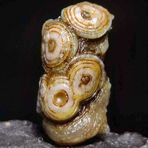 Outer Mongolia Alxa Natural Sky Eye Stone Raw Stone Strange Stone Wire-Tangled Flower Eye Agate Gobi Relief Surface