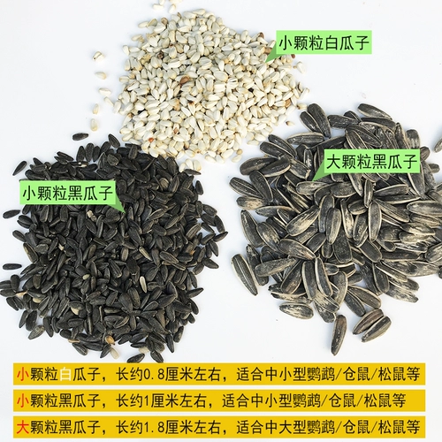 Бесплатная доставка попугай Петт Птичья птица закуски, маленькие семена черных дыни сырые семена дыни пионы, пиони Сюанфенг закуски сырые семена дыни 100 г