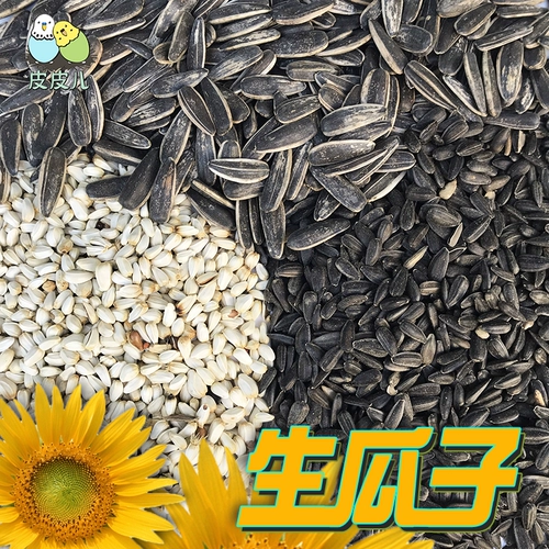 Бесплатная доставка попугай Петт Птичья птица закуски, маленькие семена черных дыни сырые семена дыни пионы, пиони Сюанфенг закуски сырые семена дыни 100 г