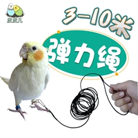 Эластичный ремень, браслет на ногу для выхода на улицу, 3м, 10м