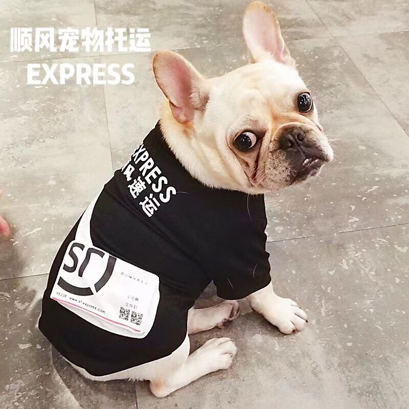 Hangzhou Guangzhou Fuzhou Chengdu Wuhan Nanjing National Puppy Pets Pets Pet Pets Pet Express Air Upper Door Service