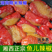 Hunan Xiangxi Yuanling farmhouse handmade fish peppers glutinous rice wrapped spicy spicy seeds glutinous rice peppers filled with spicy seeds