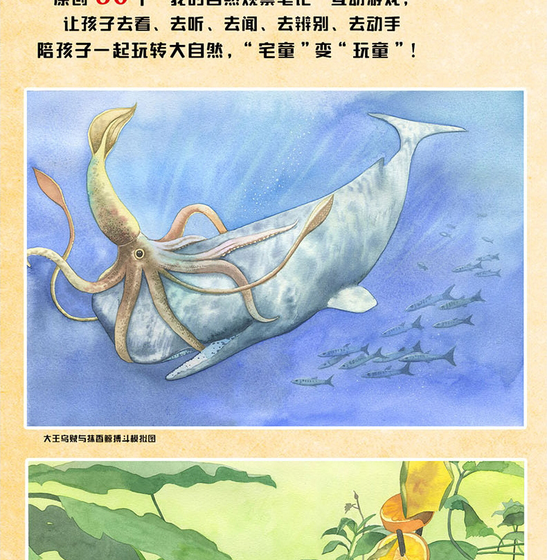 无穷小亮 《小亮老师的博物课》全套6册 适合5-14岁 图9