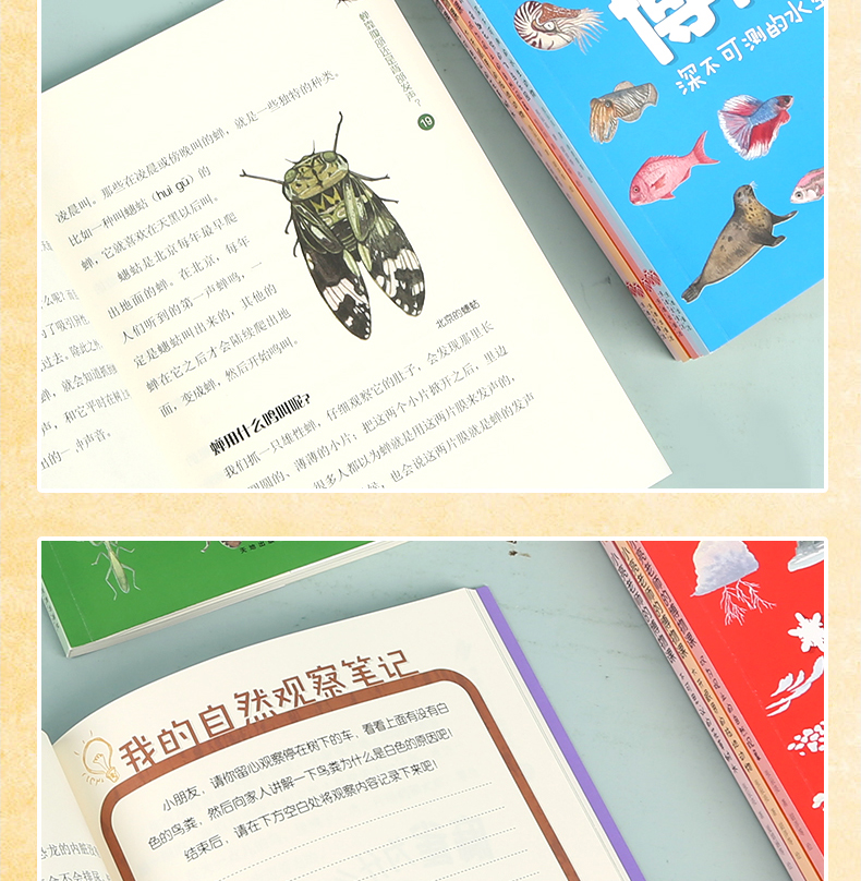 无穷小亮 《小亮老师的博物课》全套6册 适合5-14岁 图12