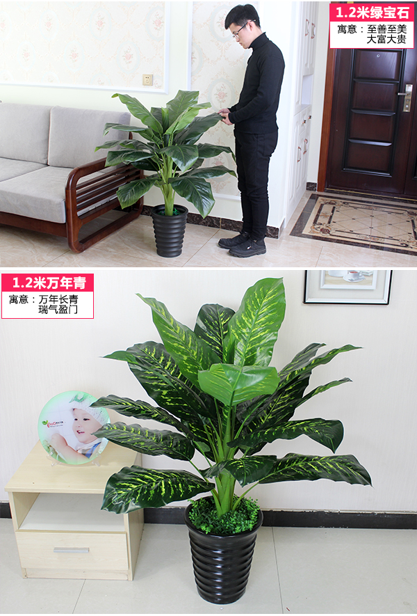 Cây giả mô phỏng phòng khách văn phòng chậu trang trí trong nhà hoa giả chống hoa thật sàn nhựa cây xanh - Hoa nhân tạo / Cây / Trái cây hoa hồng giả