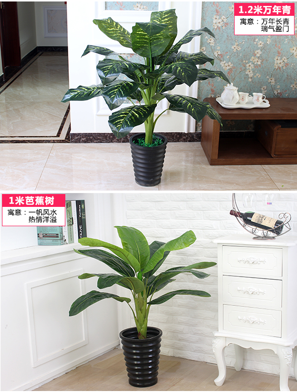 Cây giả mô phỏng phòng khách văn phòng chậu trang trí trong nhà hoa giả chống hoa thật sàn nhựa cây xanh - Hoa nhân tạo / Cây / Trái cây hoa hồng giả