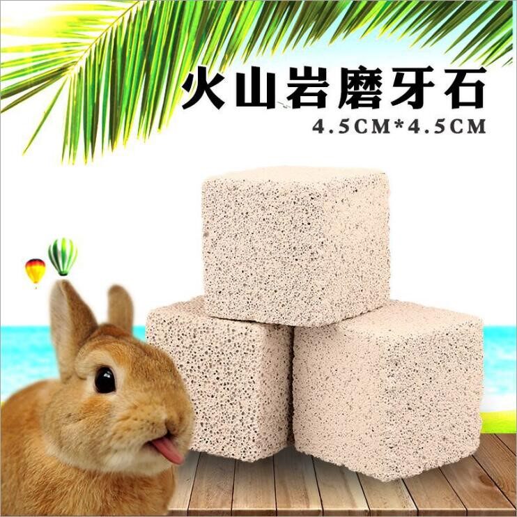 (Co's home) full forehead * small animal dedicated volcanic rock block grindstone rabbit dragon cat hamster
