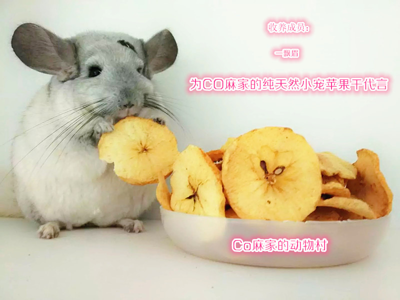 (CO Hemp Zero Mouth) Pure Natural Roasting Apple Dry Rabbit Dragon Cat Guinea Pig Hamster With Zero Food 30G