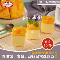 Bigville Mango Cups Frozen Cake Afternoon Tea Break Sweet Wedding West Point Birthday Gift Ice Cream Cup