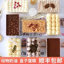 Simple House Nets Red Boxes Frozen Cake and Colorful Floors Sweet West Point afternoon Tea Strawberry Jar