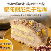 Bigville Monbrown chestnut small square frozen cake Western-style pastry meeting sweet afternoon tea break bread cake