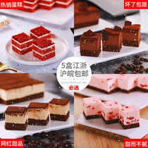 Bigville Frozen Cake Tea Break Dessert Cake Conference West Point Afternoon Tea Banquet Buffet Dessert Hotel