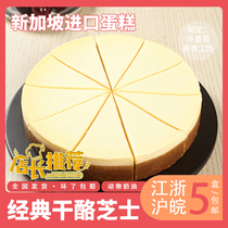 Singapore Imports Zheng Daniel Classic Cheese Frozen Cake 8 Inch Cheese Dessert Cafe Afternoon Tea Break