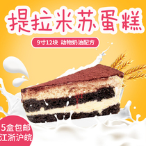 Jeske Tiramisu frozen cake 9 inch birthday gift cafe West Point unit wedding table dessert