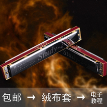 Harmonica adult beginner Suzuki 24-hole harmonica C tune junior students children polyphonic introduction