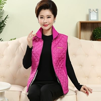 Phụ nữ trung niên kích thước lớn vest lông cừu mới mẹ béo mùa thu và mùa đông bắt áo khoác lông cừu ấm vest thời trang nữ