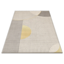 Danish velvet high-end entry floor mats non-slip foot mats home door mats entry-door stain-resistant carpets water-absorbent dust removal mats PD