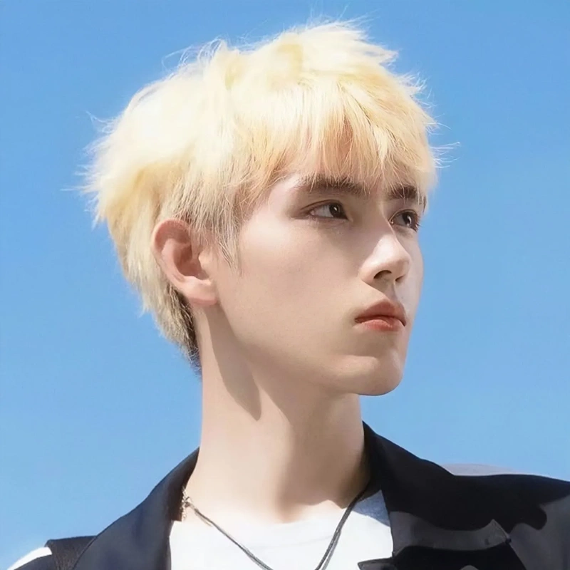 Cheng Ming Wig Men's Short Hair Korean Style Broken Cover Men's Wig Handsome Natural White Golden Summer Breathable Full Headgear Style
